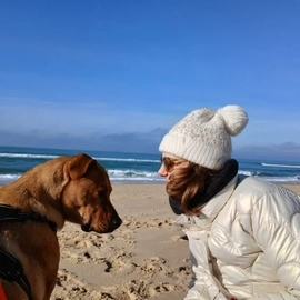 Avatar of Cass Gheoghe